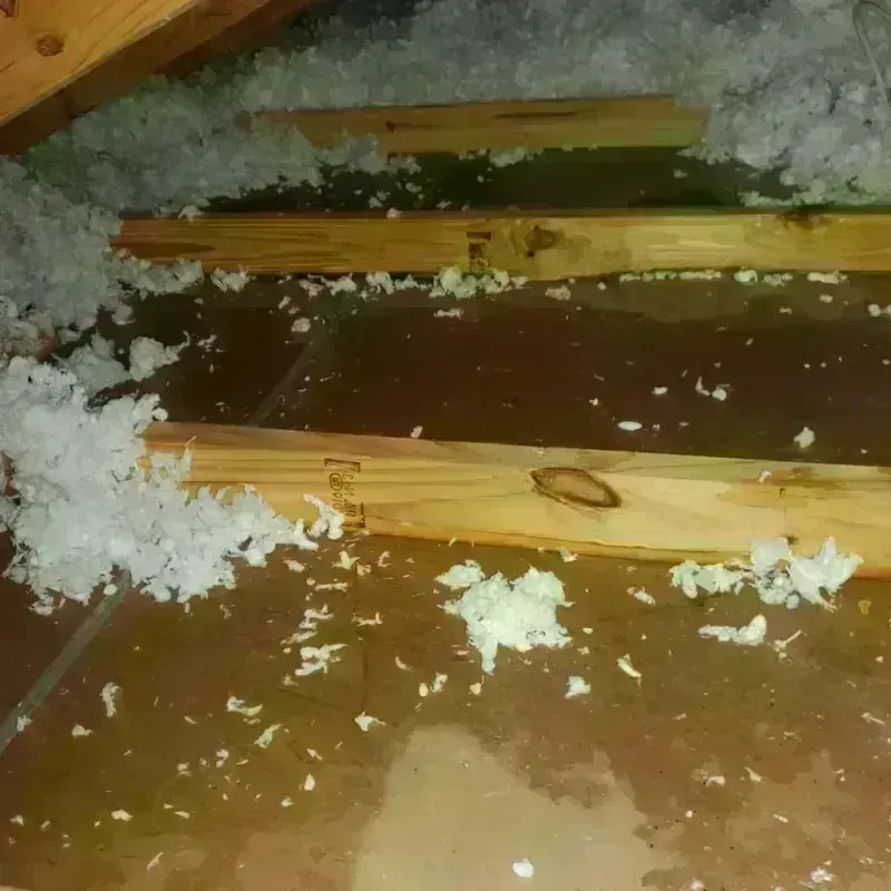 Attic Water Damage in Chuluota, FL