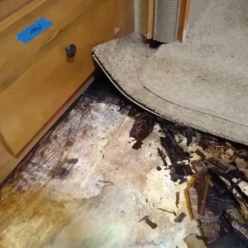 Wood Floor Water Damage in Chuluota, FL